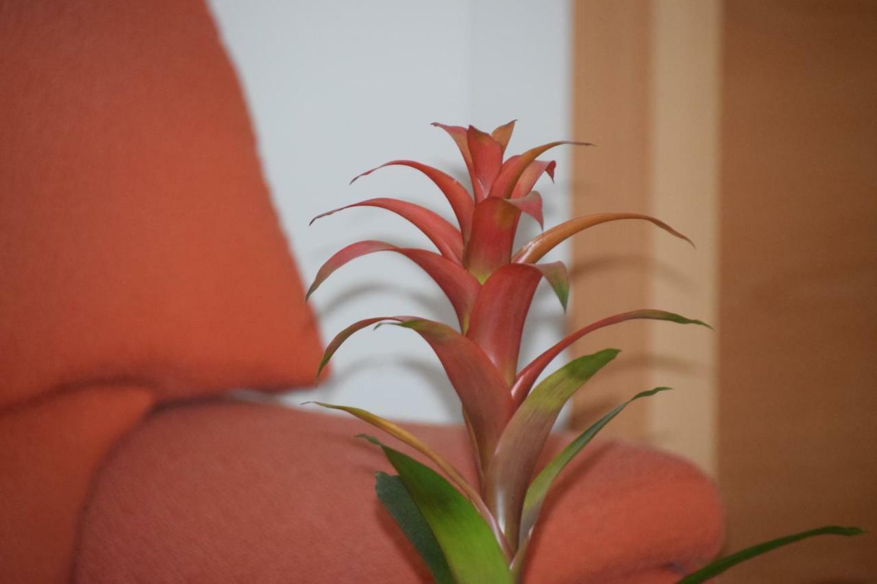 Hostal Manuela Punta Umbria Ngoại thất bức ảnh
